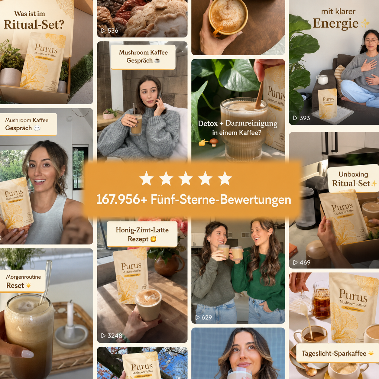 Detox - Mushroom Cafe Set